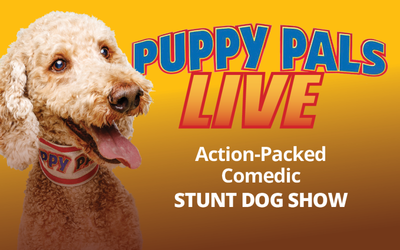 Puppy Pals Live: The Action-Packed Comedic Stunt Dog Show